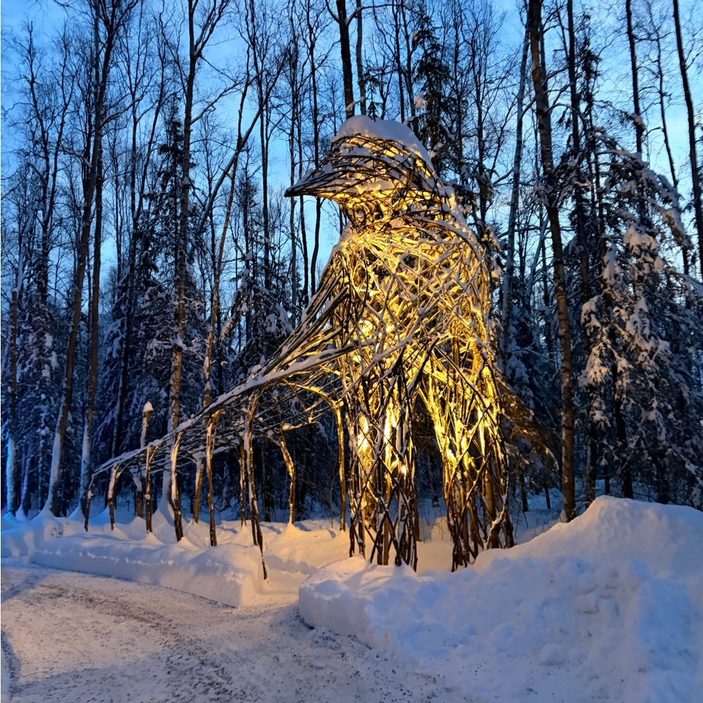 Meet your Posher, Shelissa